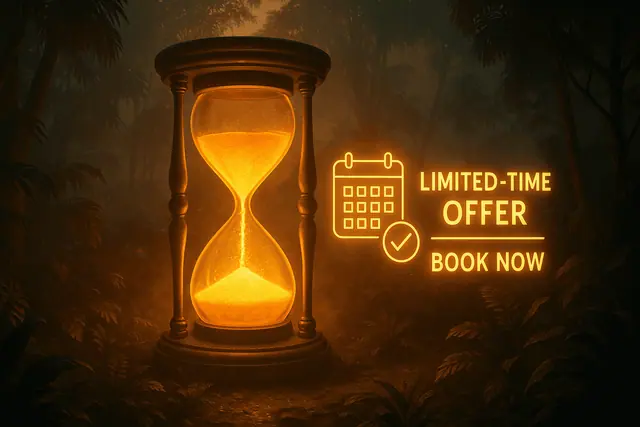 Editorial image for Boost Shopify Service Sales with Limited-Time Promotions